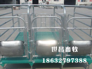 母豬定位欄養豬設備批發